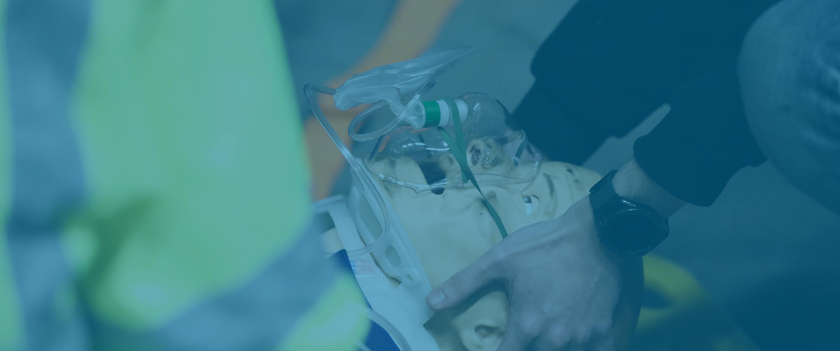 Services Banner showing EMTs working with a patient.